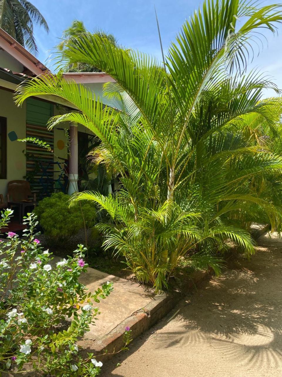Elena Garden Resort And Restaurant Trincomalee Eksteriør bilde