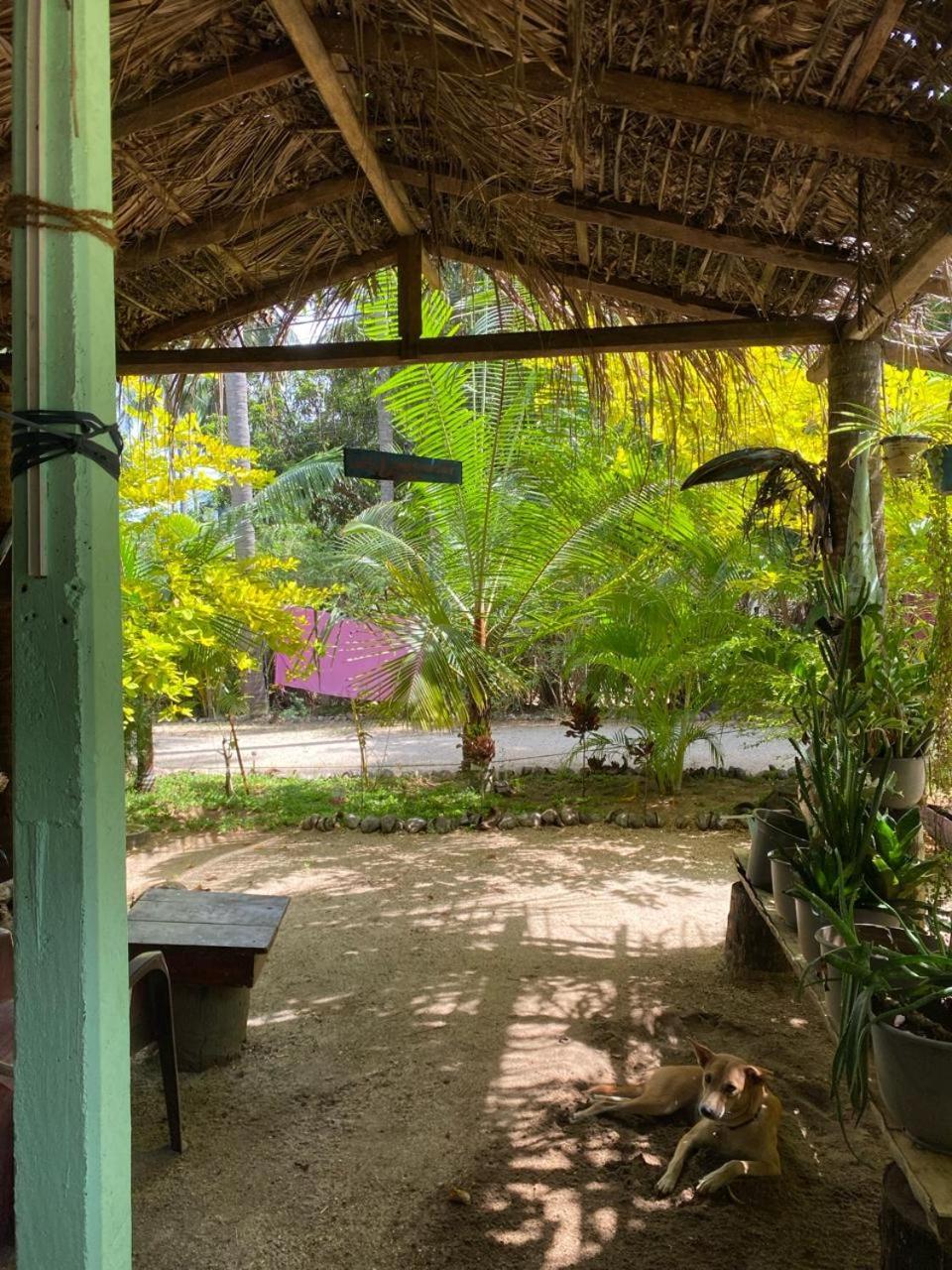 Elena Garden Resort And Restaurant Trincomalee Eksteriør bilde