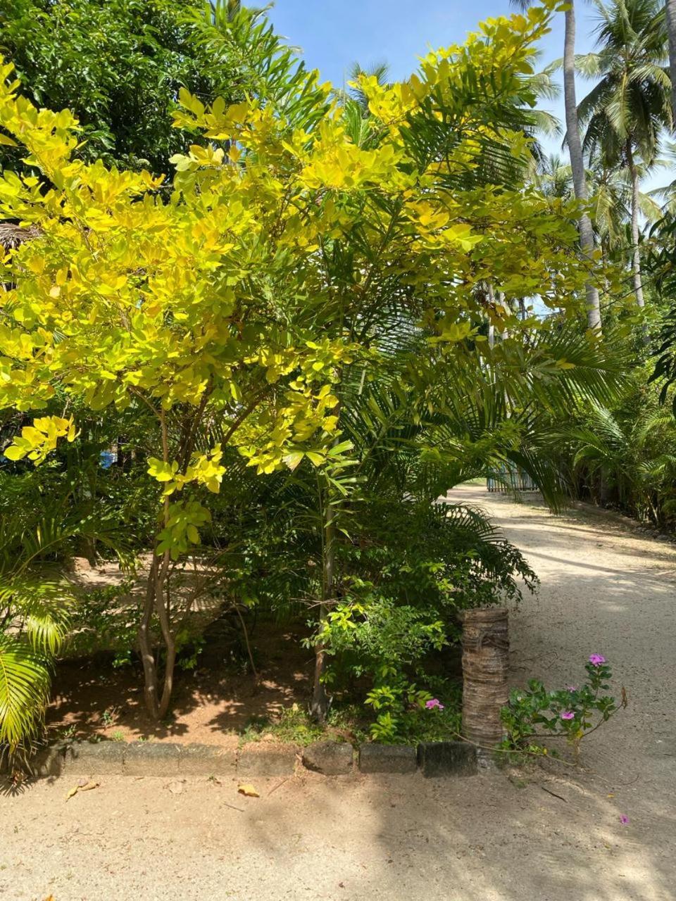 Elena Garden Resort And Restaurant Trincomalee Eksteriør bilde