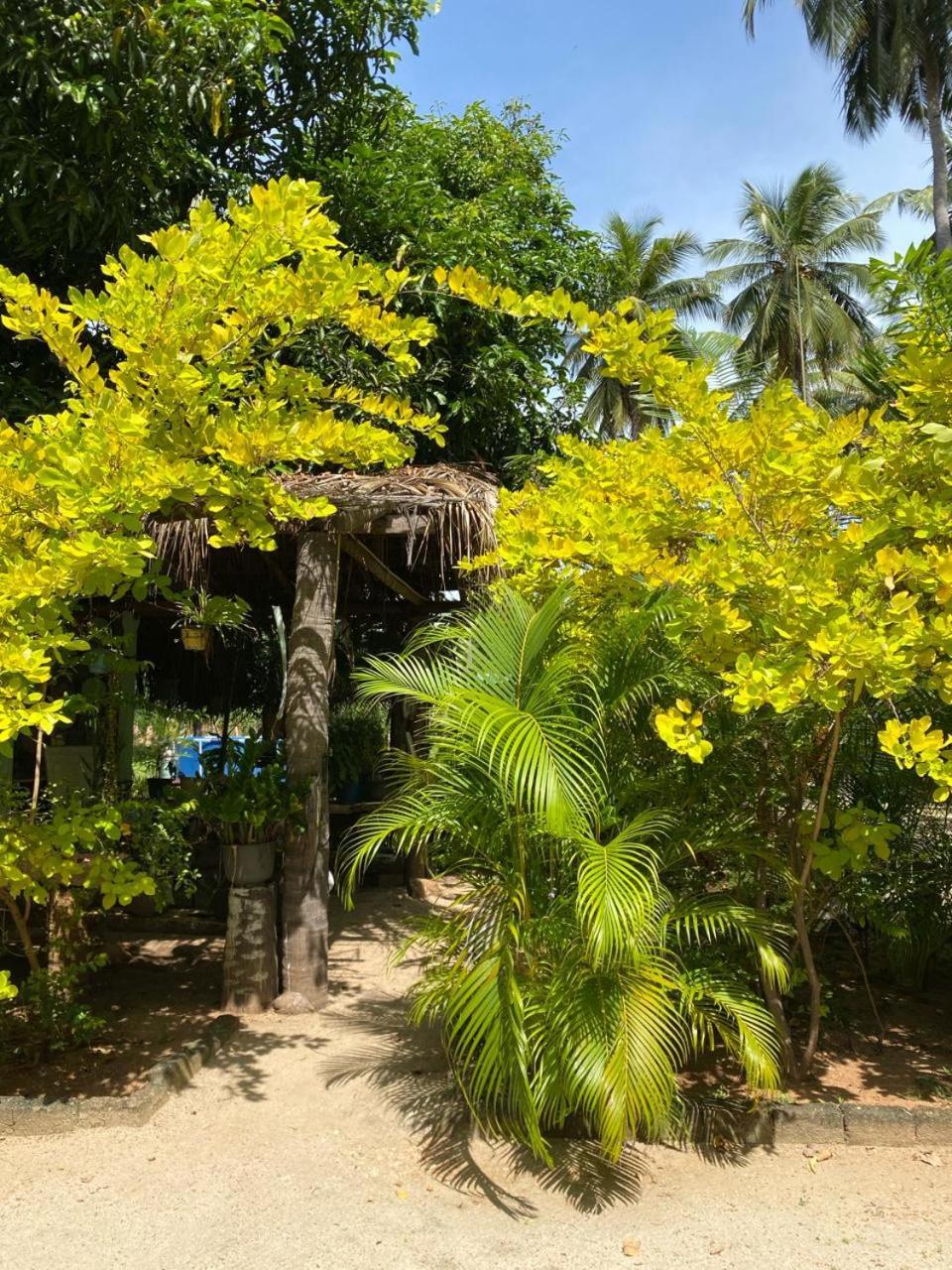 Elena Garden Resort And Restaurant Trincomalee Eksteriør bilde